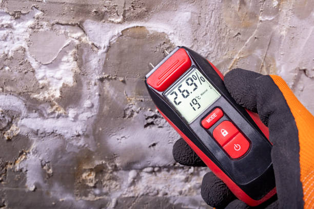 Best Commercial Mold Removal  in Roanoke, VA