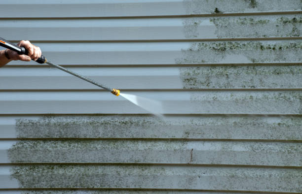 Mold Testing and Removal in Roanoke, VA