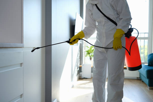 Best Mold Removal Company Near Me  in Roanoke, VA