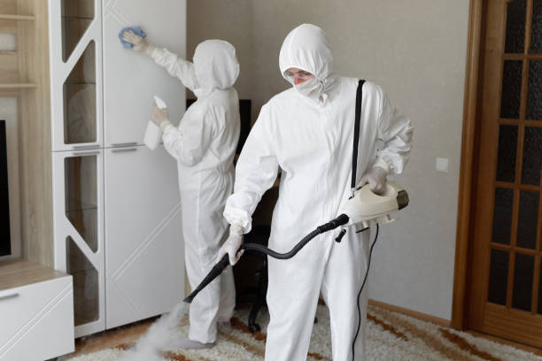 Best Mold Testing  in Roanoke, VA