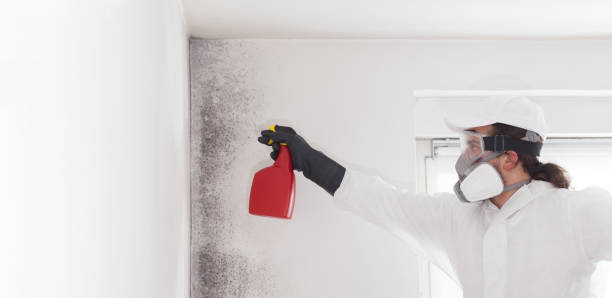Best Mold Testing  in Roanoke, VA