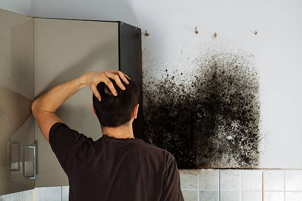 Attic Mold Removal in Roanoke, VA
